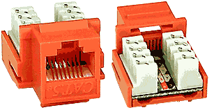 NTI jck-5e-v-orange CAT5e Vertical Keystone Jack, Orange