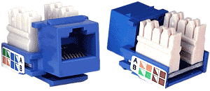 NTI jck-5e-v-blue CAT5e Vertical Keystone Jack, Blue