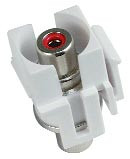 NTI ky-rca-r-ff Red RCA Keystone Insert