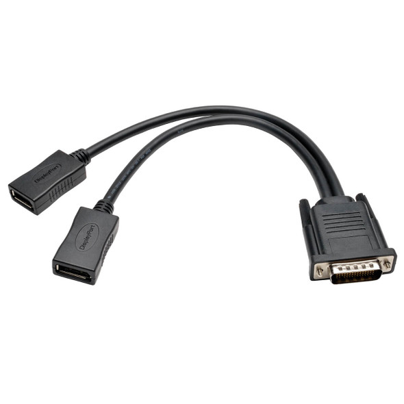 Tripp Lite P576-001-DP 1ft DMS-59 to Dual DisplayPort Splitter Y Cable M to 2xF 1'