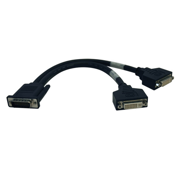 Tripp Lite P576-001 1ft Digital Media Systems Splitter Cable DMS-59 to 2x DVI-I F 1'