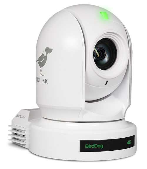 BirdDog BDP400W Eyes P400 10 Bit NDI 4K Camera (White)