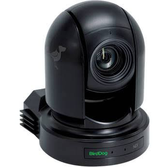 BirdDog BDP100B P100 1080P full NDI PTZ Camera with SDI (Black)