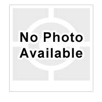 Chief FCA623S Fusion Dual Display ACC XPA-XVA Silver