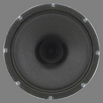 Atlas C10AT25 Speaker 8 in 10 OZ Dual T2 5W