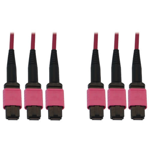Tripp Lite N858B-30M-3X8MG 40/100/400G Multimode 50/125 OM4 Fiber Optic Cable Magenta, 30 m (98.4 ft.)