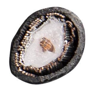 Liberty Cable 23-MINI-CMP-BLK-250 250ft Black Serial Digital Mini-RG59 Dual Shield 4.5 GHz Plenum Coaxial Cable Reel