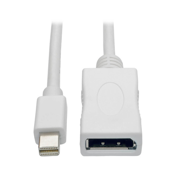 Tripp Lite P139-006-DP-V2B 6ft Mini DisplayPort to DisplayPort Adapter Cable 4K x 2K M/F 6'