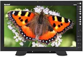 Marshall Electronics V-MD173 17.3 in Modular Design Monitor Rack Mount Monitor with Composite and Component inputs