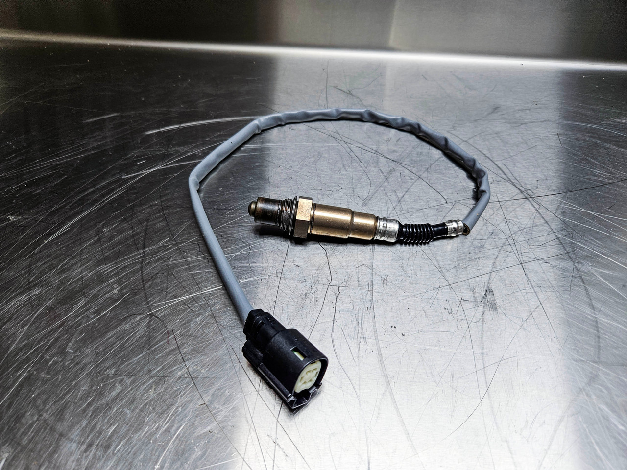 Cet O2 Sensor Cat o2 Oxygen / Lambda Sensor ST mk3 - Focus On Performance