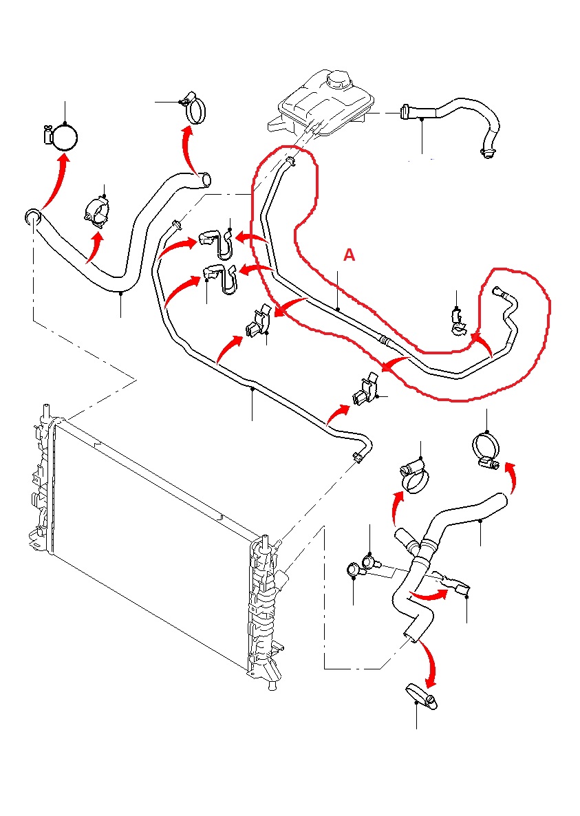 Expansion Tank Hose A) GENUINE FORD Focus On Performance