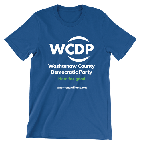 Your Vote Is Your Voice (Unisex Royal Blue Tee)