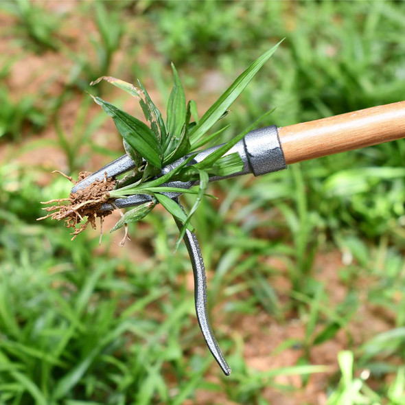 ZUZUAN Weeder- The Original Stand Up Weed Puller Tool - 4-Claw Steel Head Design - Easy to Remove Weeds Without Bending, Pulling, or Kneeling (Without Handle