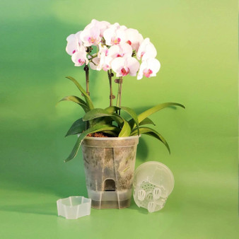 Premium Clear Desktop Resin Flower Pot, Transparent Nurturing Your Green Plants - Suitable for Placing Orchids by DSERS