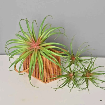 Artificial Green Plant Air Grass Succulent Miniature Potted Garden for Outdoor Desktop Living Room Home Decor by DSERS