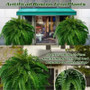 Realistic Boston Ferns 57cm/67cm Artificial Boston Fern Plants 38 Leaves UV Resistant Fake Ferns Greenery for Door Porch Decors by DSERS