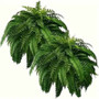 Realistic Boston Ferns, 57cm/67cm Artificial Greenery with 38 Leaves for Doorway Decor and Porch.