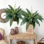 Boston ferns in hanging and standing pots on a wooden console table for Doorway Decor.