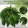 UV resistant 57cm/67cm Artificial Boston Ferns with 38 leaves, Fake Flower Bouquet, green ferns foliage.