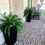 Realistic Boston Ferns 57cm/67cm Artificial Boston Fern Plants 38 Leaves UV Resistant Fake Ferns Greenery for Door Porch Decors by DSERS