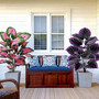 Set of 2 Artificial Caladium Plants with Purple Pink Leaf Faux Bonsai Plant by DSERS