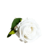 White rose with green leaves on a black background, not matching Red Roses in Vase product.