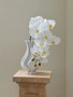 White Phalaenopsis orchids in a vase on a pedestal, ideal for elegant home decor and centerpieces.