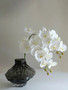 White Phalaenopsis orchids in dark glass vase for elegant home decor and beautiful wedding centerpieces.