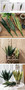 Aritificial Snake Plant Home Decorations Wedding Supply School Eucalyptus Plant by DSERS