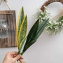 Aritificial Snake Plant Home Decorations Wedding Supply School Eucalyptus Plant by DSERS