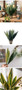 Aritificial Snake Plant Home Decorations Wedding Supply School Eucalyptus Plant by DSERS