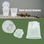Premium Clear Desktop Resin Flower Pot, Transparent Nurturing Your Green Plants - Suitable for Placing Orchids by DSERS