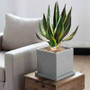 Artificial Aloe Vera Fake Succulents Simulated Agave Green Tropical Leaves by DSERS