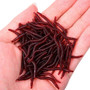 Fake Bait Red Worm Earthworm mutual by mutualdropshopping