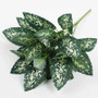 Artificial Plants Leaves Silk Tortoiseshell Leaf Dieffenbough Fake Small Fairy Taro Simulation Green Plant Living Room Decor by DSERS