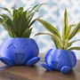 Oddish Planter Oddish Flower Pot Succulent Flower Pot Plant Pot Planter by DSERS
