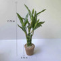 Artificial Lucky Bamboo Plant Green Potted Garden Outdoor Living Room Desktop Aesthetic Space Tropical Rainforest Home Decor