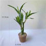 Artificial Lucky Bamboo Plant Green Potted Garden Outdoor Living Room Desktop Aesthetic Space Tropical Rainforest Home Decor