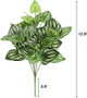 5Pcs Watermelon Peperomia Artificial Plant 12.9"