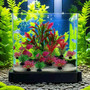 10PC Fish Tank DIY Artificial Aquarium Decor Mixed color Plants Ornament Aquatic Plant by DSERS