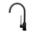 Castano Black 6 Star Amalfi Care Round Gooseneck Sink Mixer - AMSIB-CARE