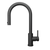 Castano Black 6 Star Amalfi Pull-out Spray Gooseneck Sink Mixer - AMPOSSIB