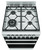 Westinghouse 54cm Stainless Steel Dual Fuel Freestanding Oven - WFE512SC