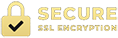Secure SSL Encryption