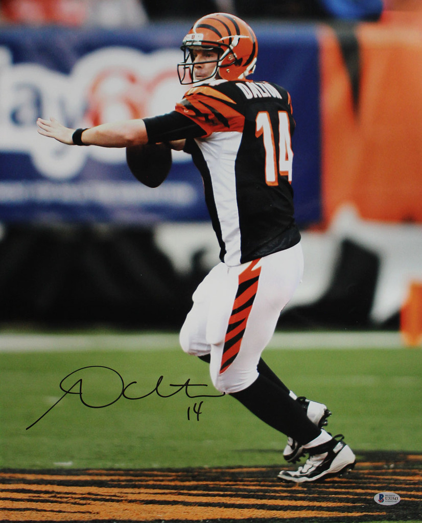 Andy Dalton Autographed/Signed Cincinnati Bengals 16x20 Photo BAS