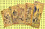 2023 Goldback complete set of Wyoming 1, 5, 10, 25 & 50