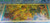 2022 Creativity - Roots of Humanity Cook Is. $2 GOLD note PMG 70 Reflective