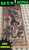 2023 South Dakota 50 Goldback Alpha sith AA, AA S/N & Free Shipping labels