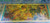 2022 Creativity - Roots of Humanity Cook Is. $2 GOLD note PMG 70 Reflective
