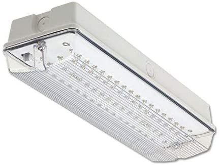 Led Emergency Light